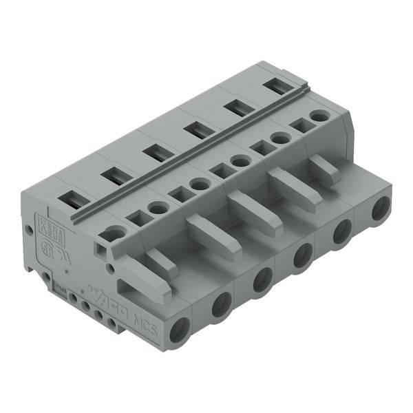 1-conductor female connector CAGE CLAMP® 2.5 mm² gray image 1