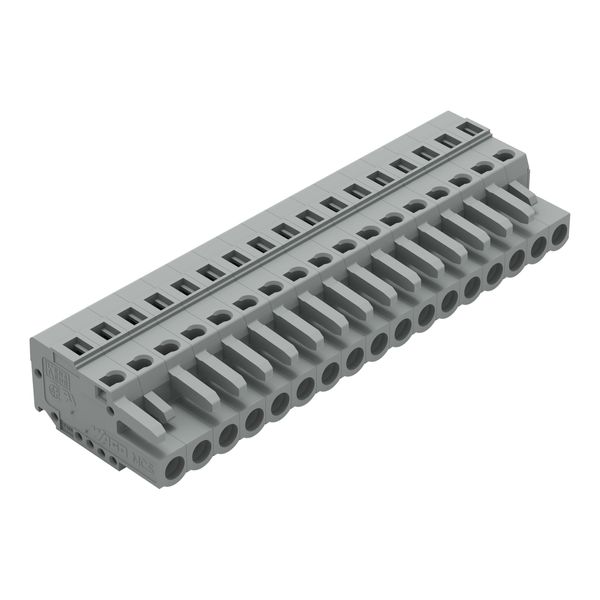 1-conductor female connector CAGE CLAMP® 2.5 mm² gray image 1