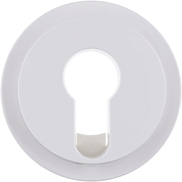 Centre plate for key switches/key push-buttons R.1/R.3, polar white gl image 1