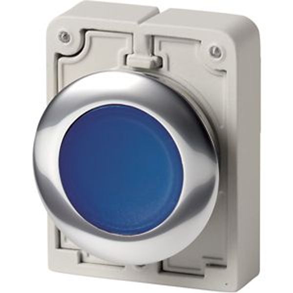 Illuminated pushbutton actuator, RMQ-Titan, Flat, maintained, Blue, Blank, Metal bezel image 8