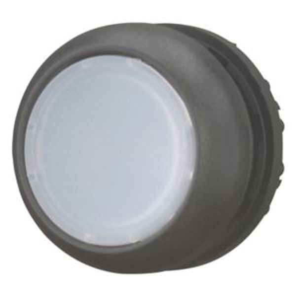 Illuminated pushbutton actuator, RMQ-Titan, Flush, maintained, White, Blank, Bezel: black image 8