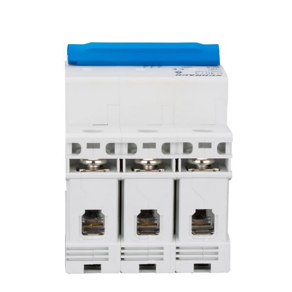 Miniature Circuit Breaker (MCB) AMPARO 6kA, C 40A, 3-pole image 3