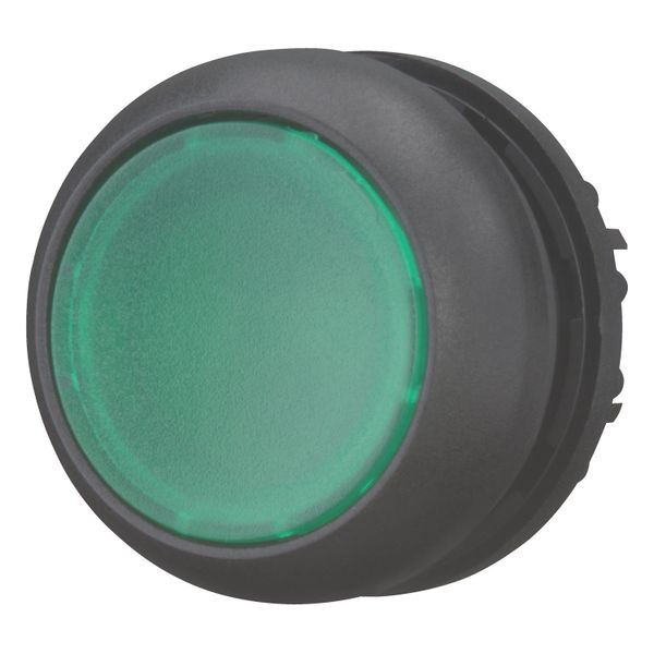 Illuminated pushbutton actuator, RMQ-Titan, Flush, maintained, green, Blank, Bezel: black image 10