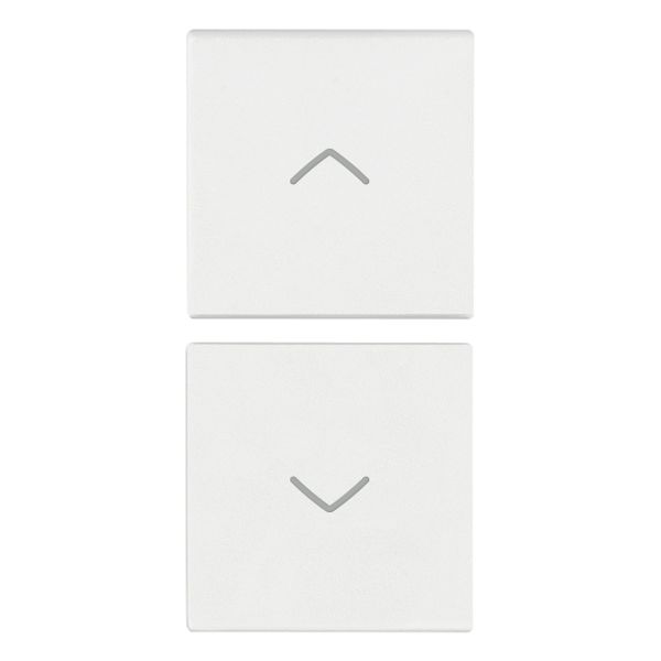 2 half buttons 1M arrows symbol white image 1