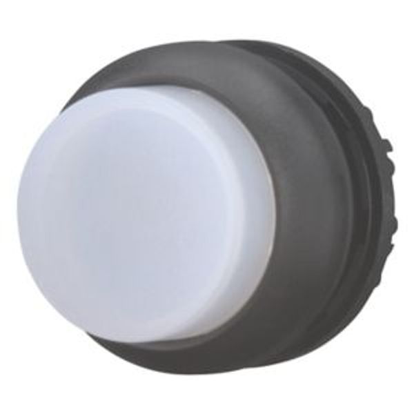 Illuminated pushbutton actuator, RMQ-Titan, Extended, momentary, White, Blank, Bezel: black image 2