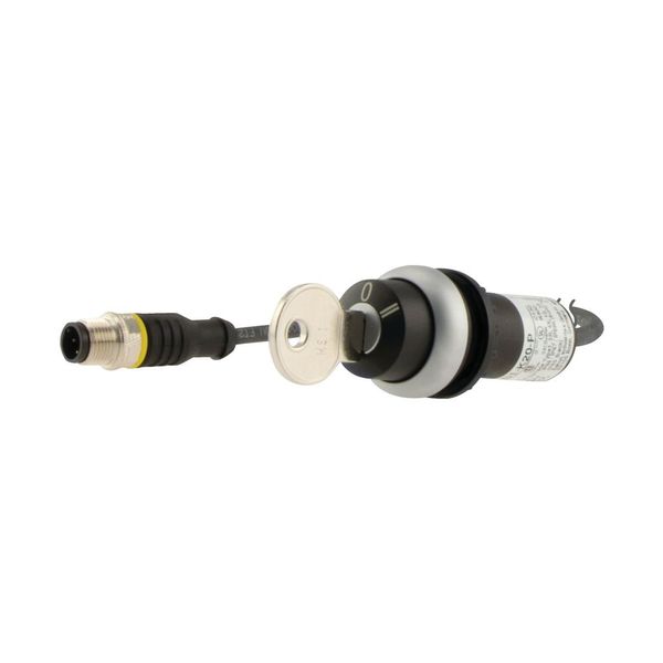Key-operated actuator, RMQ compact solution, momentary, 2 N/O, Cable (black) with M12A plug, 4 pole, 1 m, 3 positions, MS1, Bezel: titanium image 15