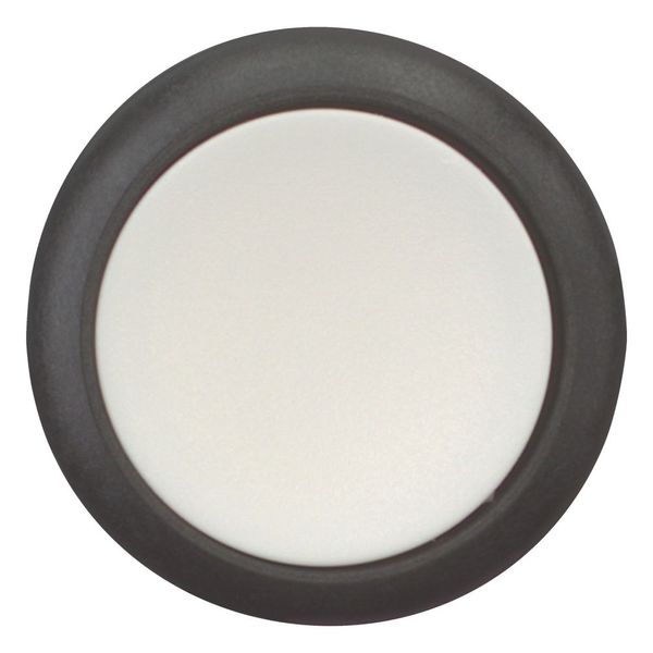 Pushbutton, Flat, maintained, 1 NC, 1 N/O, Screw connection, White, Blank, Bezel: black image 9