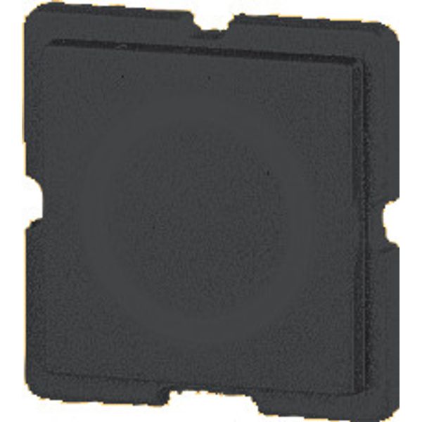 Button plate 25, black image 1