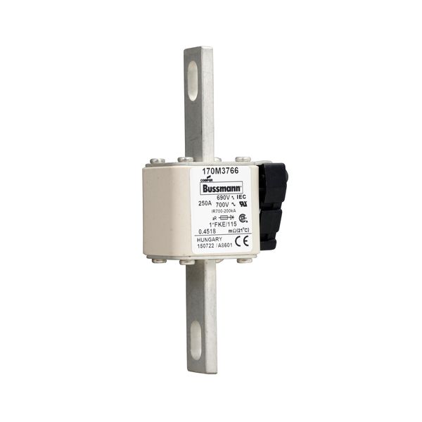 Fuse-link, high speed, 250 A, AC 690 V, compact size 1, 45 x 59 x 148 mm, aR, IEC, UL, single indicator image 9