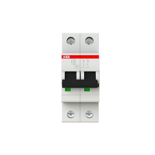 S202-B20 Miniature Circuit Breaker - 2P - B - 20 A image 1