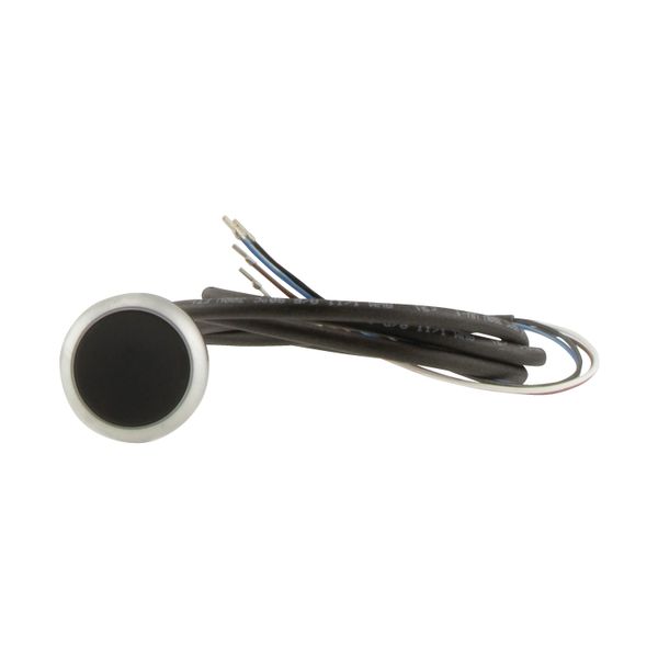 Pushbutton, Flat, momentary, 1 NC, Cable (black) with non-terminated end, 4 pole, 3.5 m, black, Blank, Bezel: titanium image 8