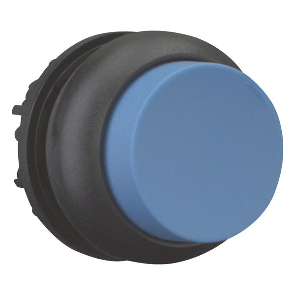 Pushbutton, RMQ-Titan, Extended, maintained, Blue, Blank, Bezel: black image 6