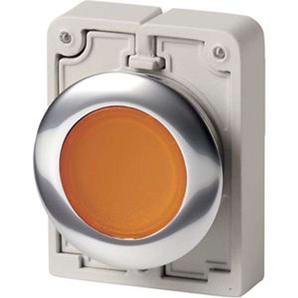 Illuminated pushbutton actuator, RMQ-Titan, Flat, momentary, orange, Blank, Metal bezel image 8