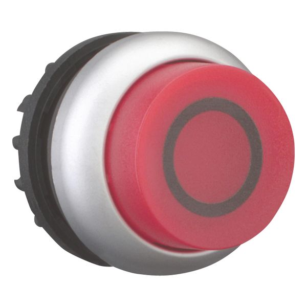 Illuminated pushbutton actuator, RMQ-Titan, Extended, momentary, red, inscribed, Bezel: titanium image 12