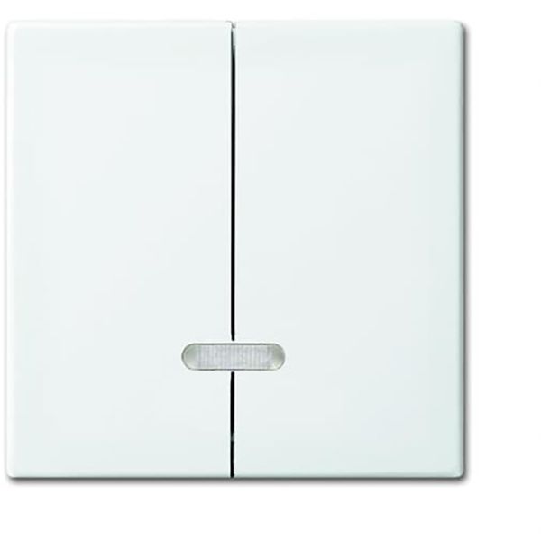 6545-914 CoverPlates (partly incl. Insert) Busch-balance® SI Alpine white image 1