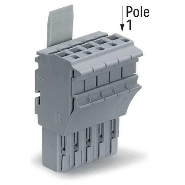 1-conductor female connector Push-in CAGE CLAMP® 4 mm² gray image 2