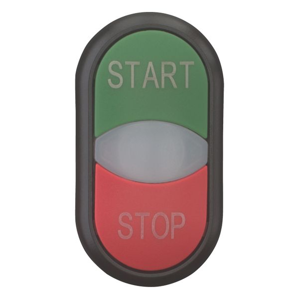 Double actuator pushbutton, RMQ-Titan, Actuators and indicator lights non-flush, momentary, White lens, green, red, inscribed, Bezel: black, START/STO image 5