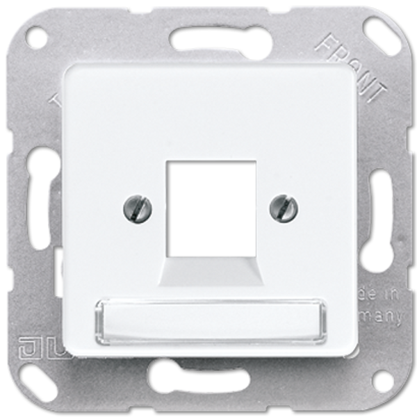 Centre plate for modular jack sockets 169-1NFWEWW image 2