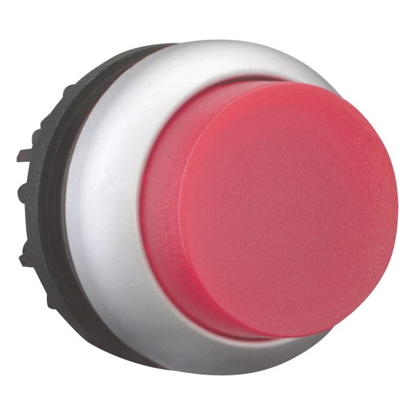 Illuminated pushbutton actuator, RMQ-Titan, Extended, momentary, red, Blank, Bezel: titanium image 8