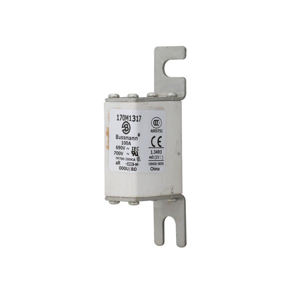 Fuse-link, high speed, 100 A, AC 690 V, DIN 000, 21 x 40 x 100 mm, aR, DIN, IEC image 13