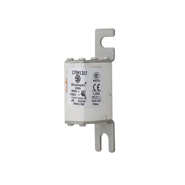 Fuse-link, high speed, 100 A, AC 690 V, DIN 000, 21 x 40 x 100 mm, aR, DIN, IEC image 10