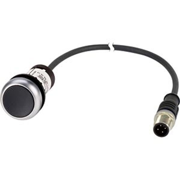 Pushbutton, Flat, momentary, 1 NC, Cable (black) with M12A plug, 4 pole, 1 m, black, Blank, Bezel: titanium image 5