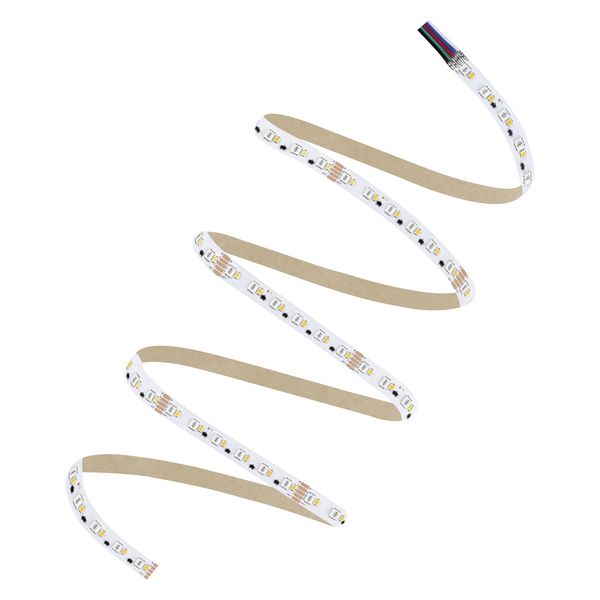 LED STRIP PERFORMANCE-1000 RGBW -1000/RGBW/830/5 image 4