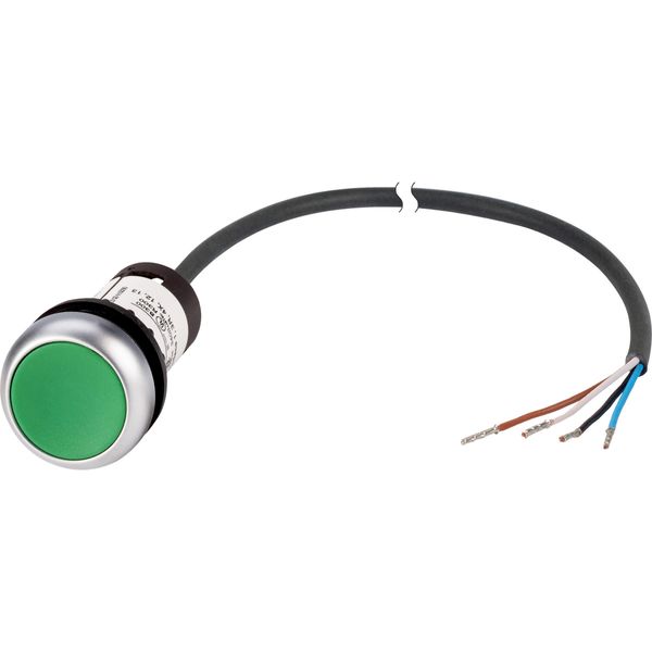 Pushbutton, Flat, momentary, 1 N/O, Cable (black) with non-terminated end, 4 pole, 1 m, green, Blank, Bezel: titanium image 3