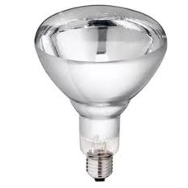 Reflector Bulb E27 150W IKZ R125 CLEAR Belight image 1