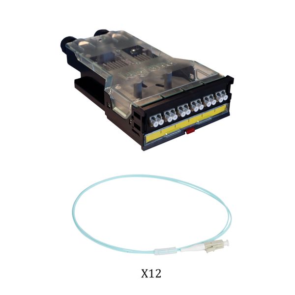 Cassette panel HD modular equipped LC duplex for 12 fibers multimode image 1