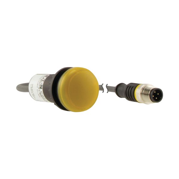 Indicator light, Flat, Cable (black) with M12A plug, 4 pole, 0.2 m, Lens yellow, LED white, 24 V AC/DC image 17