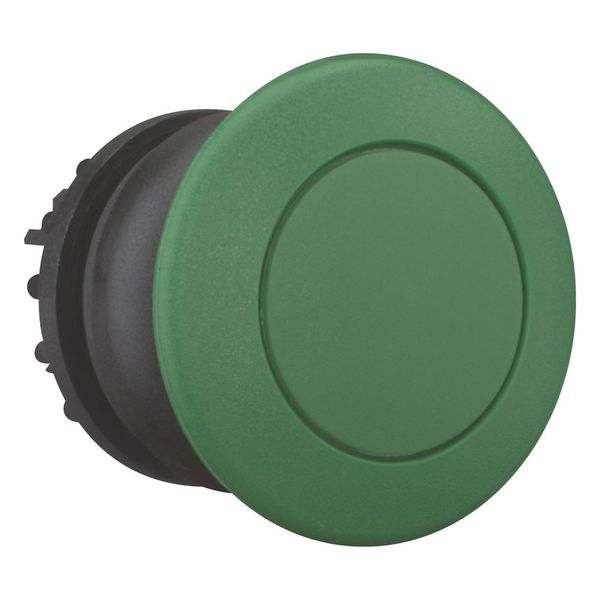 Mushroom actuator, RMQ-Titan, Mushroom, momentary, Mushroom green, green, Blank, Bezel: black image 11