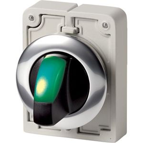 Illuminated selector switch actuator, RMQ-Titan, With thumb-grip, maintained, 3 positions, green, Metal bezel image 4