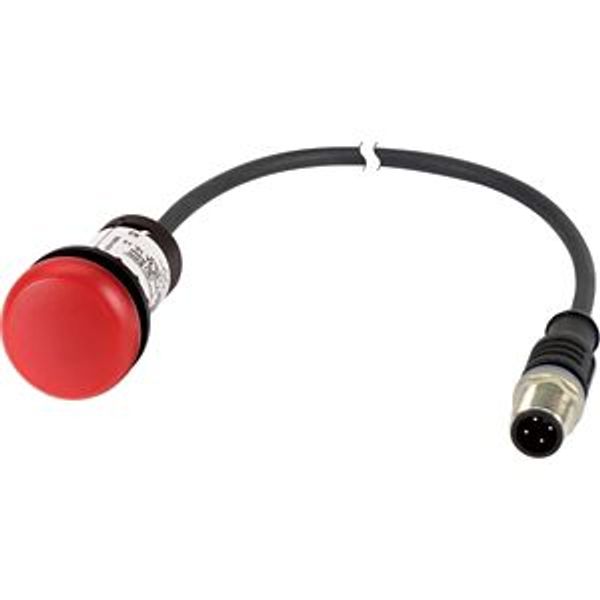 Indicator light, Flat, Cable (black) with M12A plug, 4 pole, 0.2 m, Lens Red, LED Red, 24 V AC/DC image 4