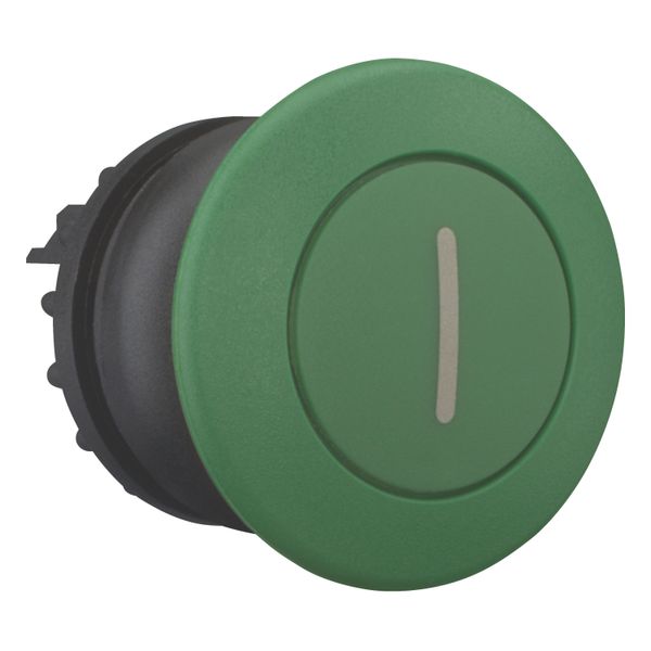 Mushroom actuator, RMQ-Titan, Mushroom, momentary, Mushroom green, green, inscribed, Bezel: black image 7