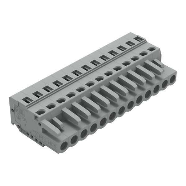 1-conductor female connector CAGE CLAMP® 2.5 mm² gray image 1