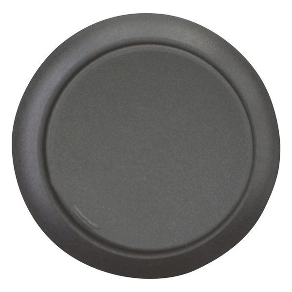 Pushbutton, RMQ-Titan, Extended, momentary, black, Blank, Bezel: black image 3