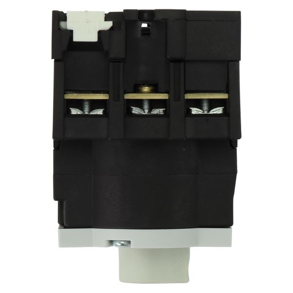 On-Off switch, P1, 40 A, rear mounting, 3 pole, Without metal shaft image 24