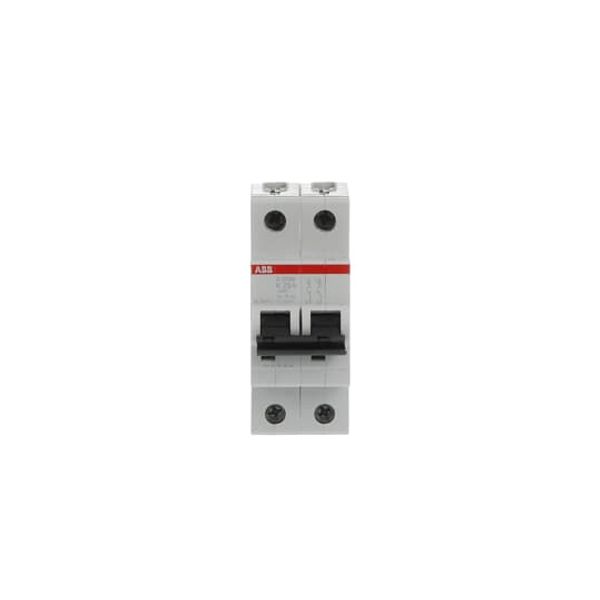S202M-K25 Miniature Circuit Breaker - 2P - K - 25 A image 4