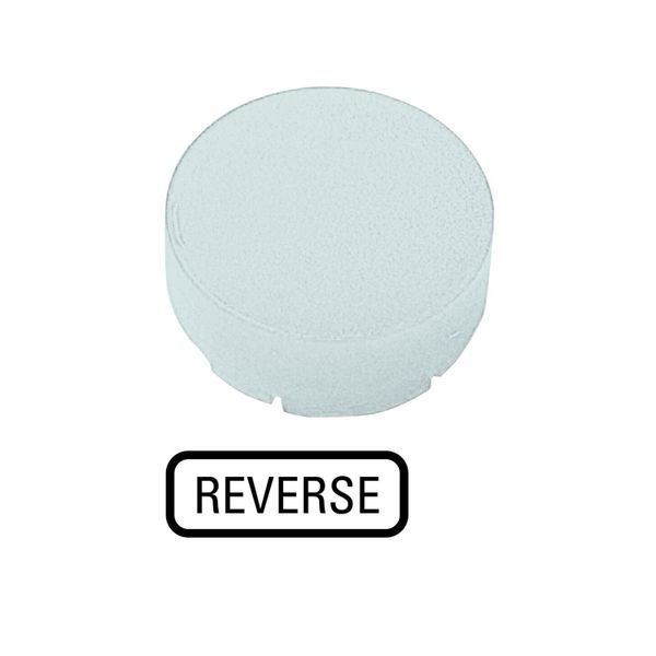 Button lens, raised white, REVERSE image 3