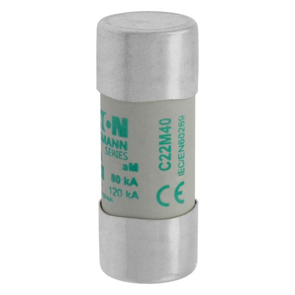 Fuse-link, LV, 40 A, AC 690 V, 22 x 58 mm, aM, IEC image 8