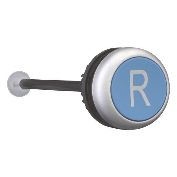 Release pushbutton, blue, R image 7