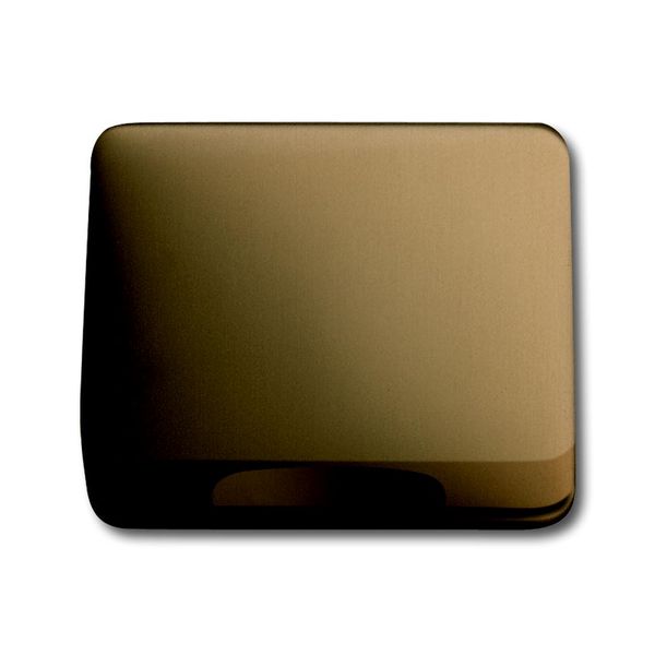 1746-21-101 CoverPlates (partly incl. Insert) carat® bronze image 1