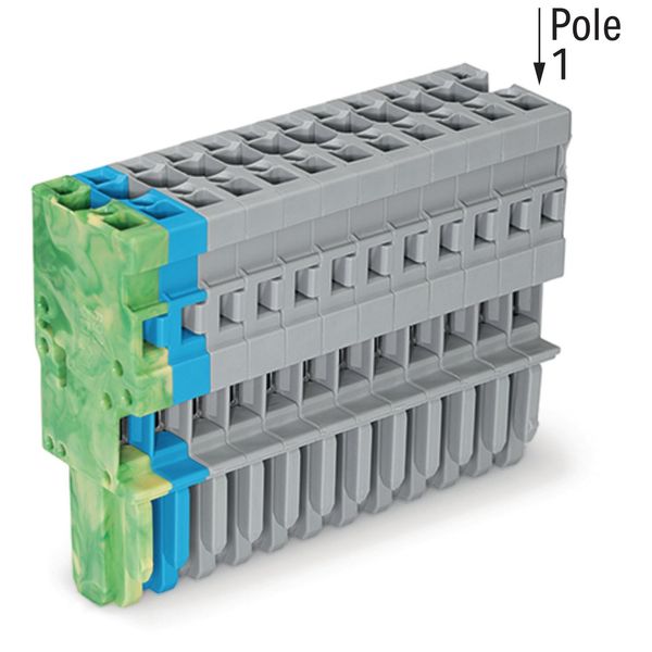 1-conductor female connector CAGE CLAMP® 4 mm² gray/blue/green-yellow image 2