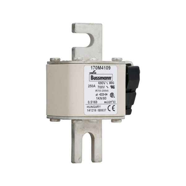 Fuse-link, high speed, 250 A, AC 690 V, DIN 1, 53 x 69 x 108 mm, aR, DIN, IEC, single indicator image 13