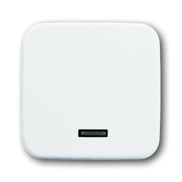 6543-214-102-500 CoverPlates (partly incl. Insert) carat® Alpine white image 1