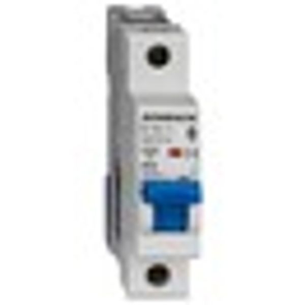 Miniature Circuit Breaker (MCB) AMPARO 10kA, D 13A, 1-pole image 8