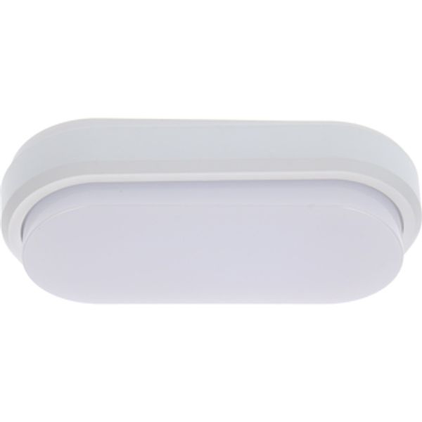 Outdoor Light with Light Source - wall light 10W 850lm 4000K IP54  - White image 1