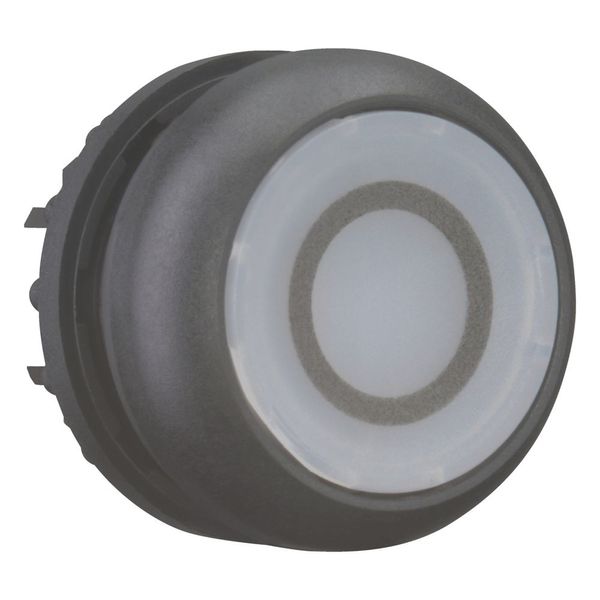 Illuminated pushbutton actuator, RMQ-Titan, Flush, momentary, White, inscribed 0, Bezel: black image 7