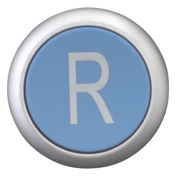Release pushbutton, blue, R image 9